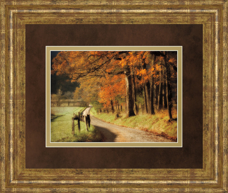 Autumns Morning Light By D. Burt