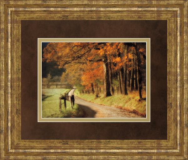 Autumns Morning Light By D. Burt