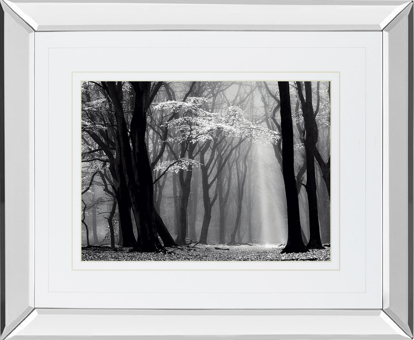 Mirrored Frame Winter Is Coming By Lars Van De Goor