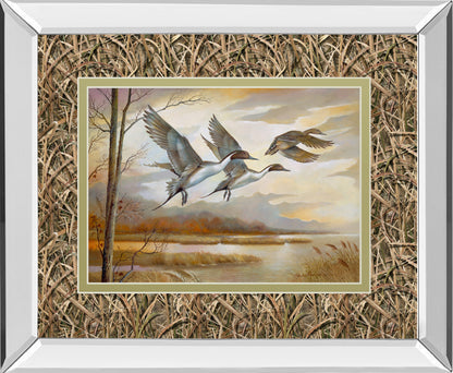 Mirrored Frame Pintails By Ruanne Manning ***Monl***