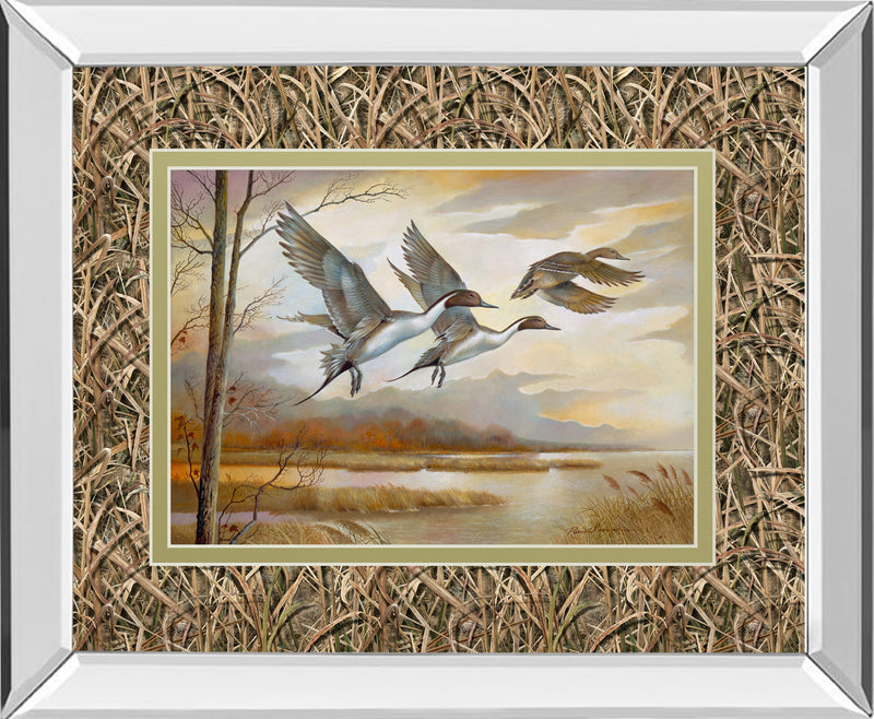 Mirrored Frame Pintails By Ruanne Manning ***Monl***