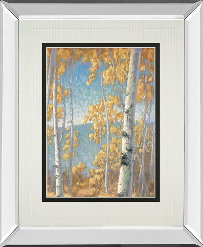 Mirrored Frame Honey Birch II By John Macnab