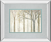 Mirrored Frame In Springtime No Border By Katherine Lowell