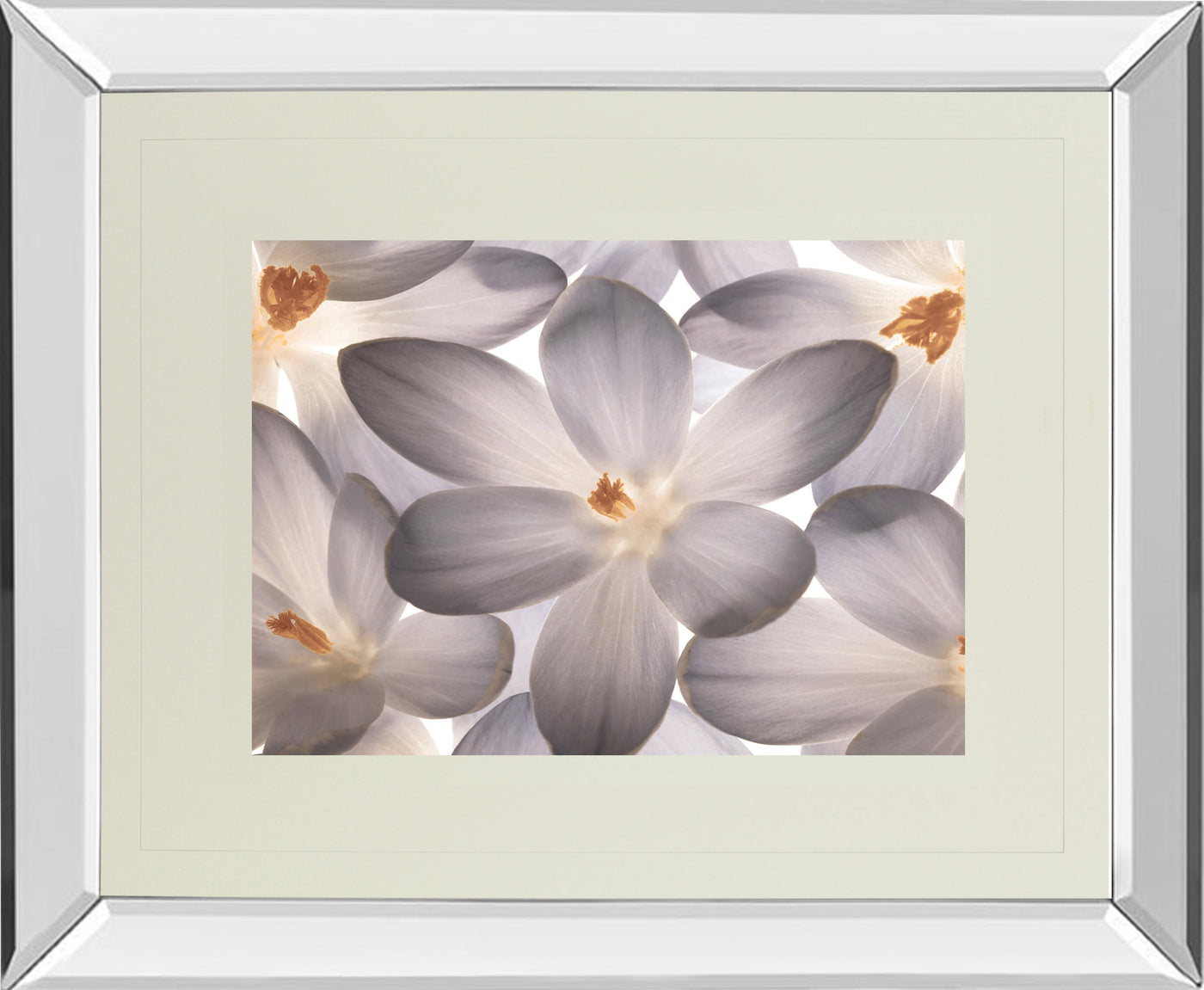Mirrored Frame Petal Perfect By Assaf Frank