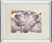 Mirrored Frame Petal Perfect By Assaf Frank
