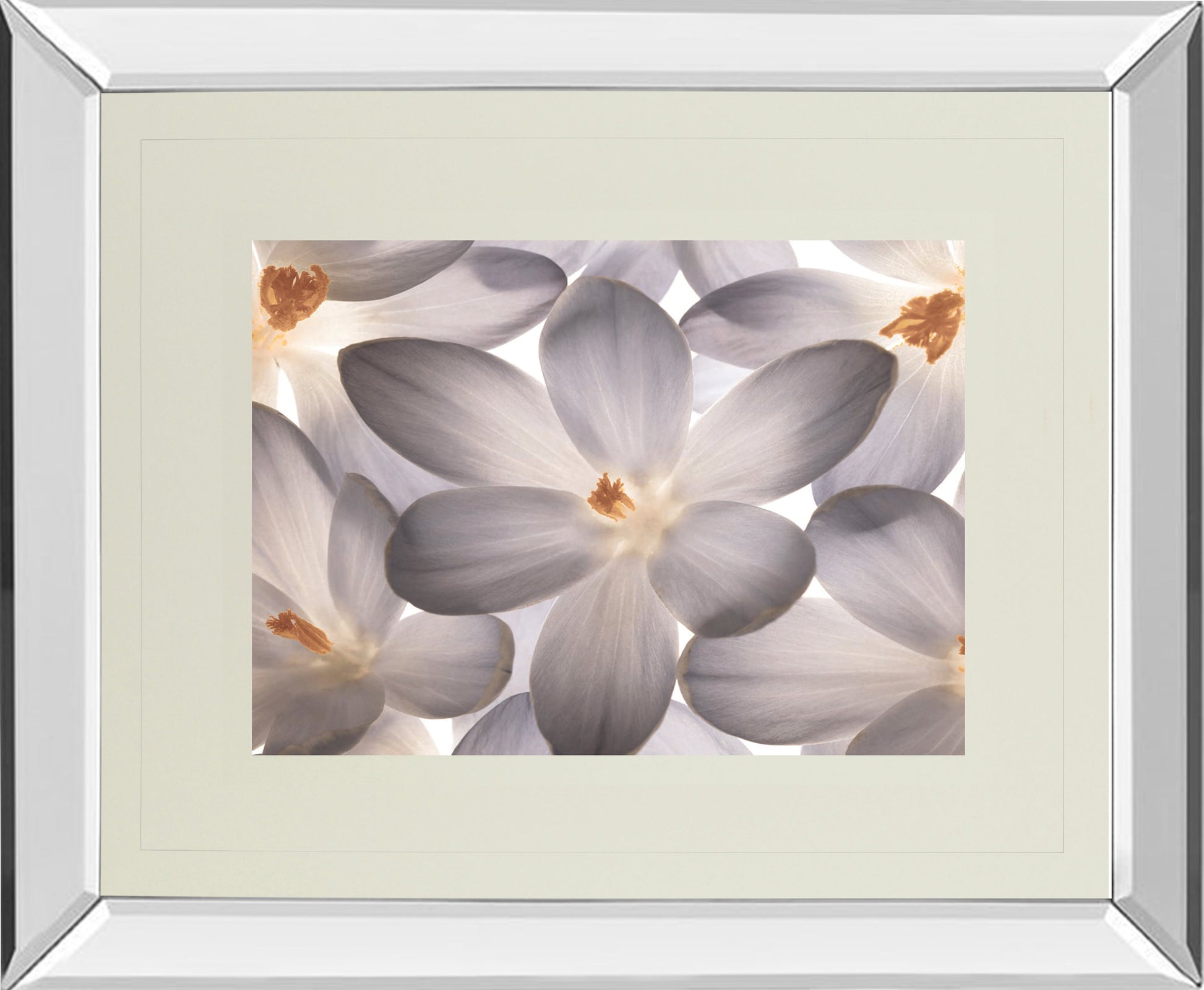 Mirrored Frame Petal Perfect By Assaf Frank