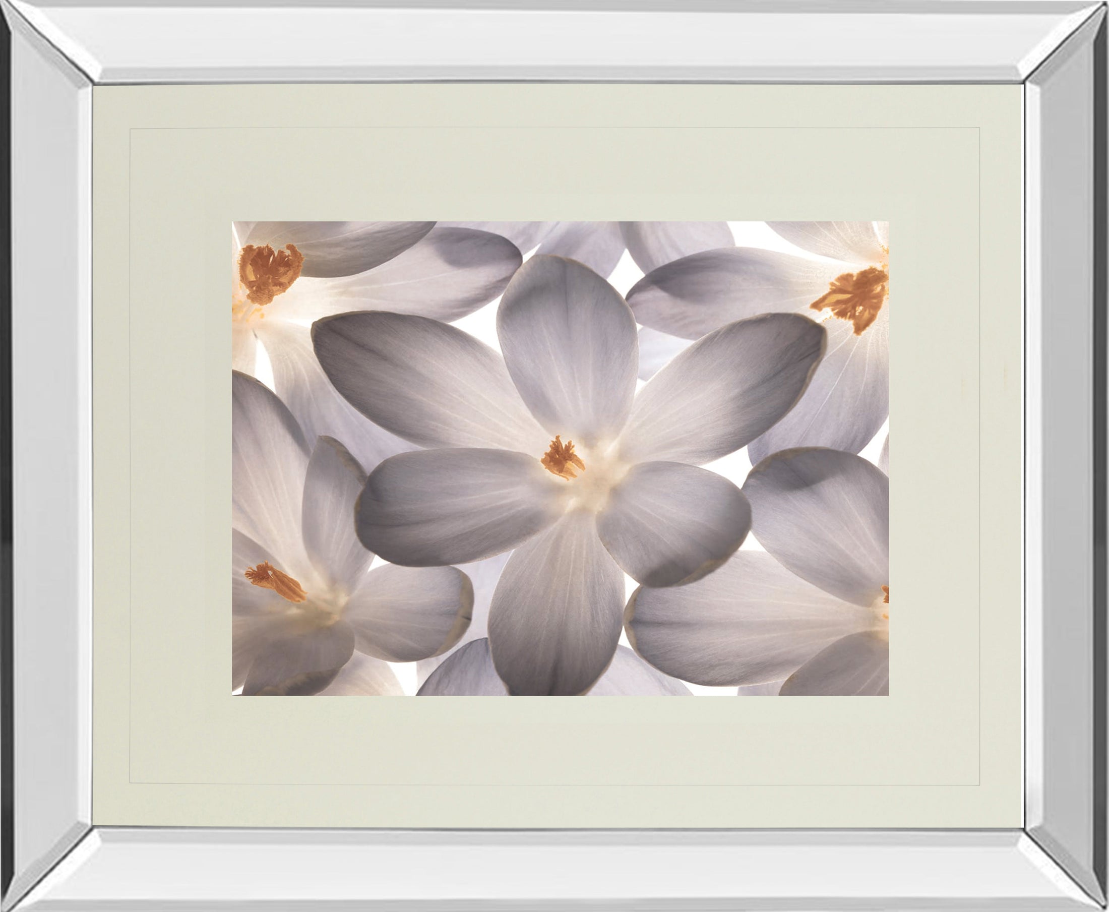 Mirrored Frame Petal Perfect By Assaf Frank