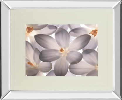 Mirrored Frame Petal Perfect By Assaf Frank