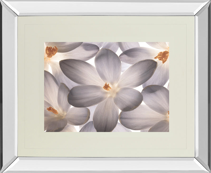 Mirrored Frame Petal Perfect By Assaf Frank