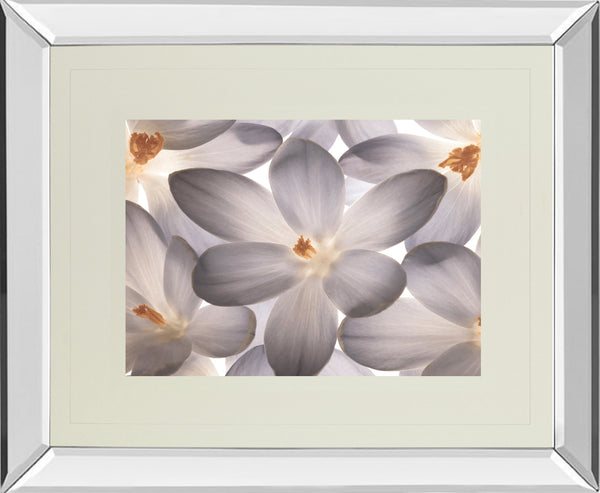 Mirrored Frame Petal Perfect By Assaf Frank