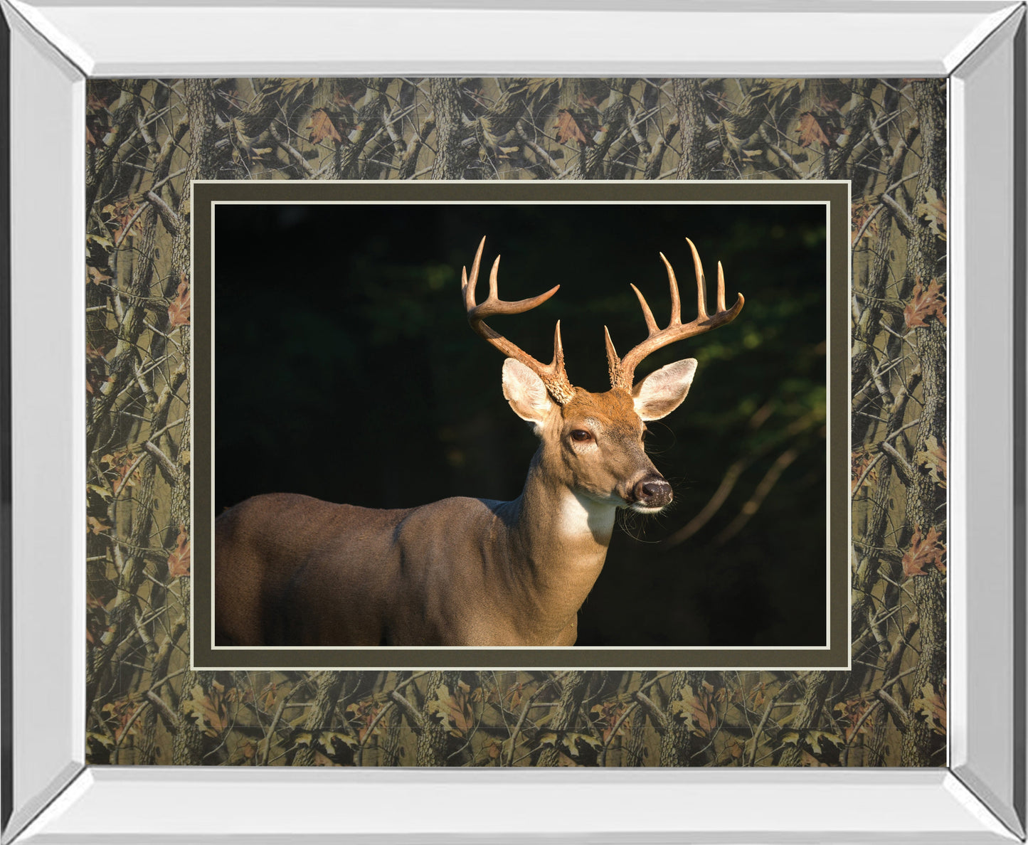 Mirrored Frame White Tail Buck By Tony Campbell