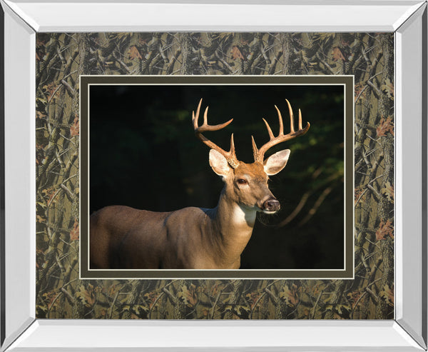 Mirrored Frame White Tail Buck By Tony Campbell