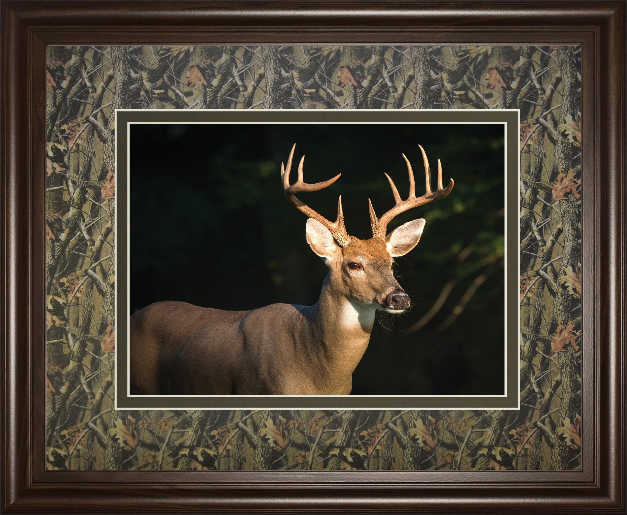White Tail Buck By Tony Campbell
