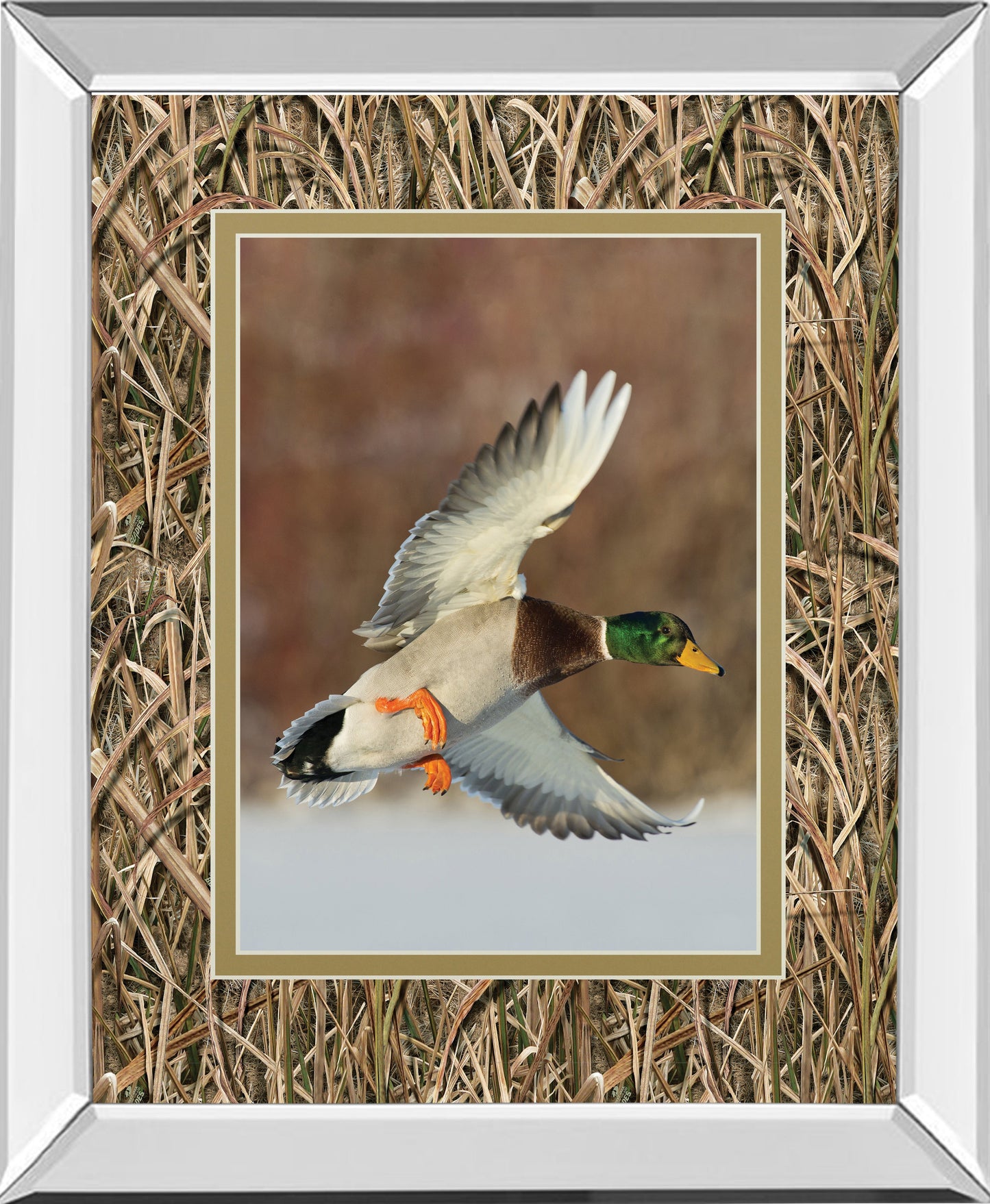Mirrored Frame Flying Mallard By Steve Oehlenschlager ***Monl***