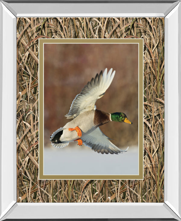 Mirrored Frame Flying Mallard By Steve Oehlenschlager ***Monl***