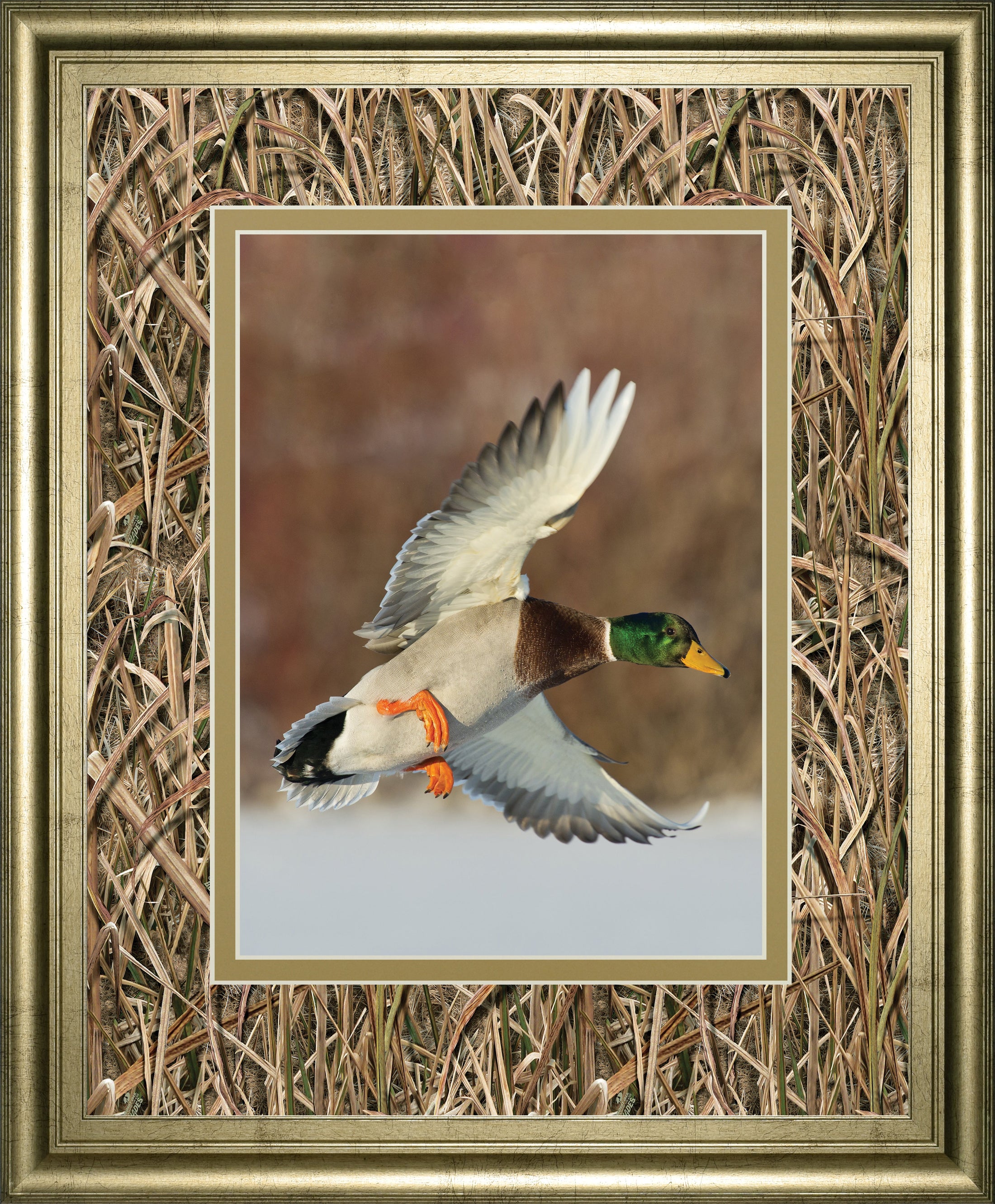 Flying Mallard By Steve Oehlenschlager ***Monl***