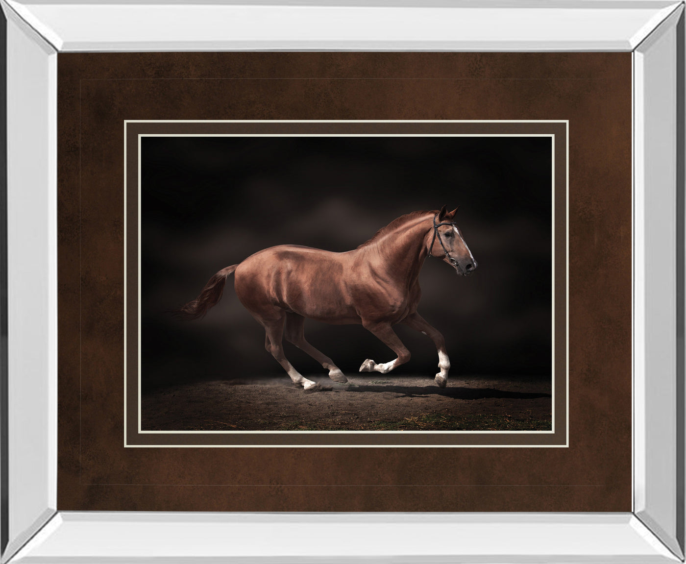 Mirrored Frame Stallion On Black By Edoma
