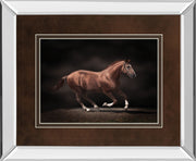 Mirrored Frame Stallion On Black By Edoma