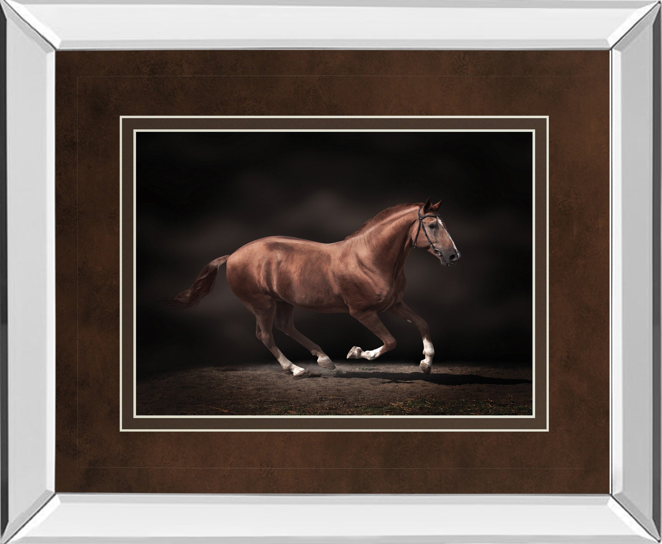 Mirrored Frame Stallion On Black By Edoma