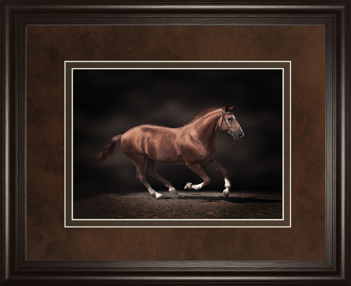 Stallion On Black By Edoma