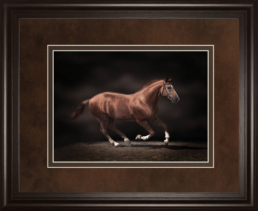 Stallion On Black By Edoma