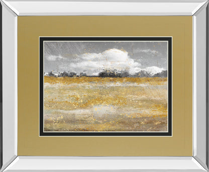 Mirrored Frame Meadow Shimmer II By Nan