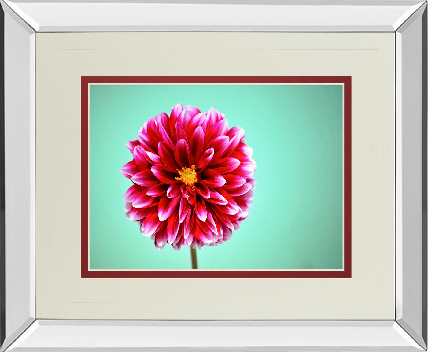 Mirrored Frame Zenia By Gail Peck