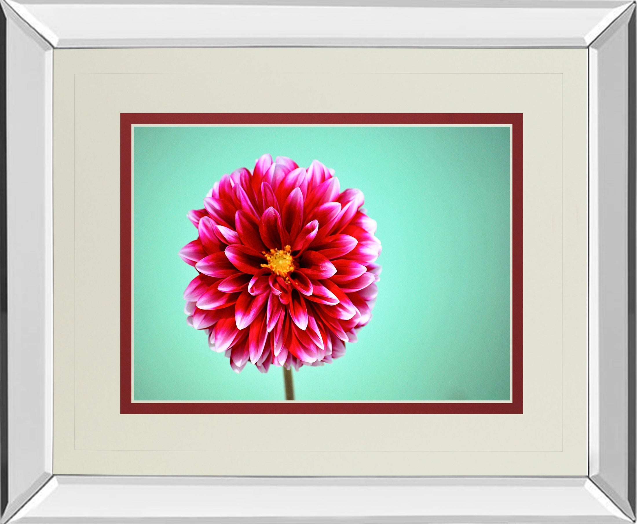 Mirrored Frame Zenia By Gail Peck