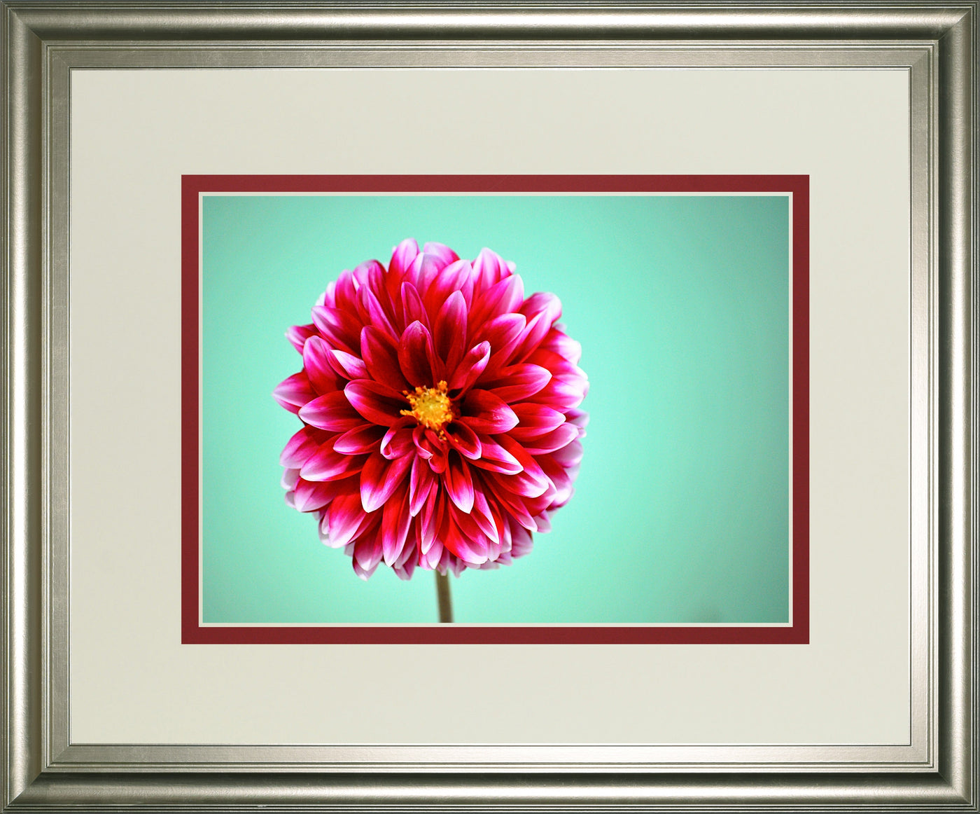 Zenia By Gail Peck