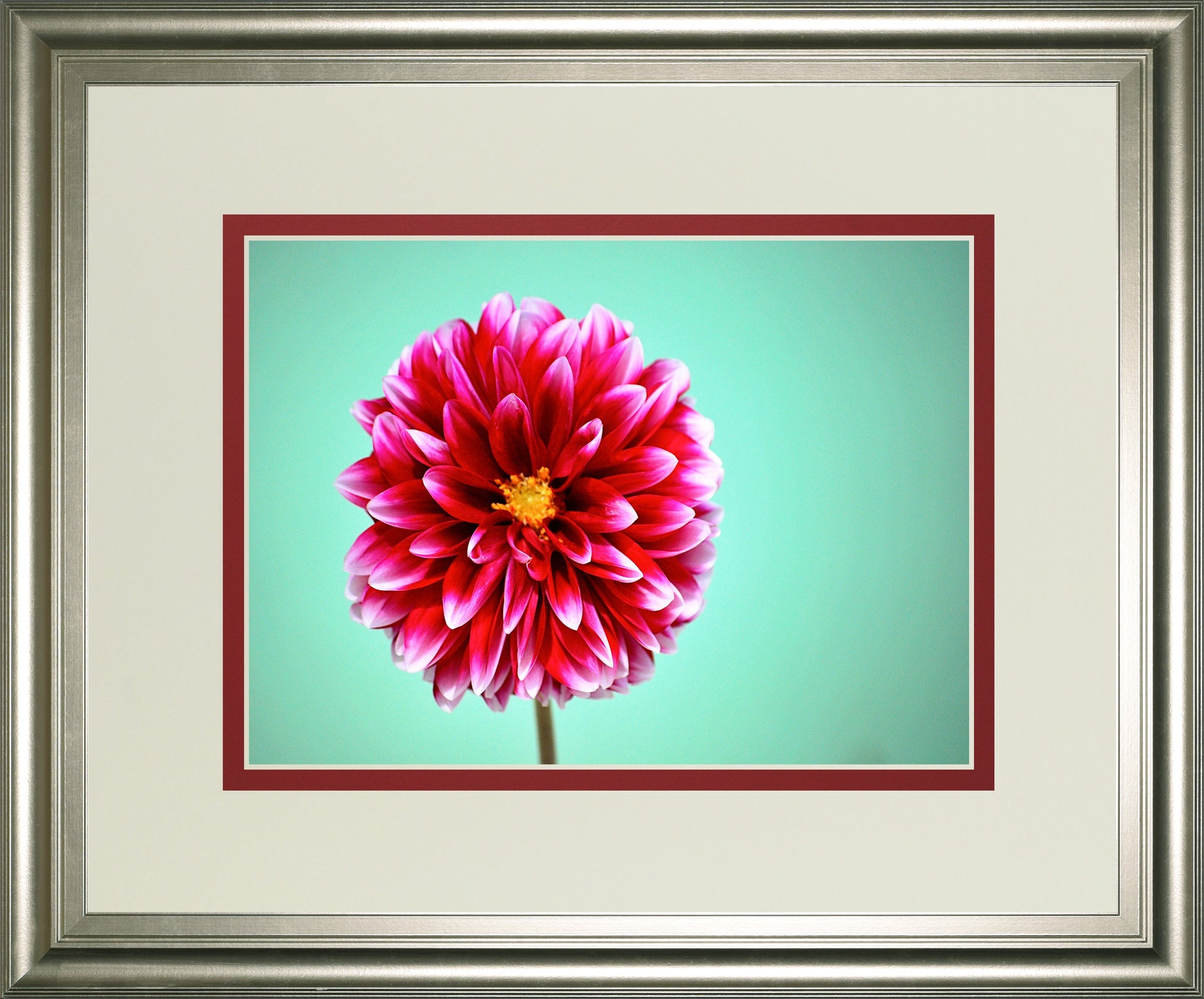 Zenia By Gail Peck