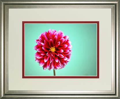 Zenia By Gail Peck