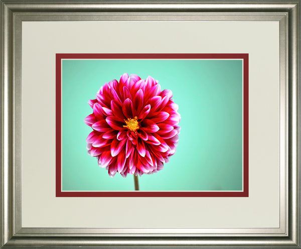 Zenia By Gail Peck