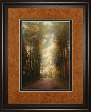 Road Of Mysteries II By Amy Melious ***Monl***