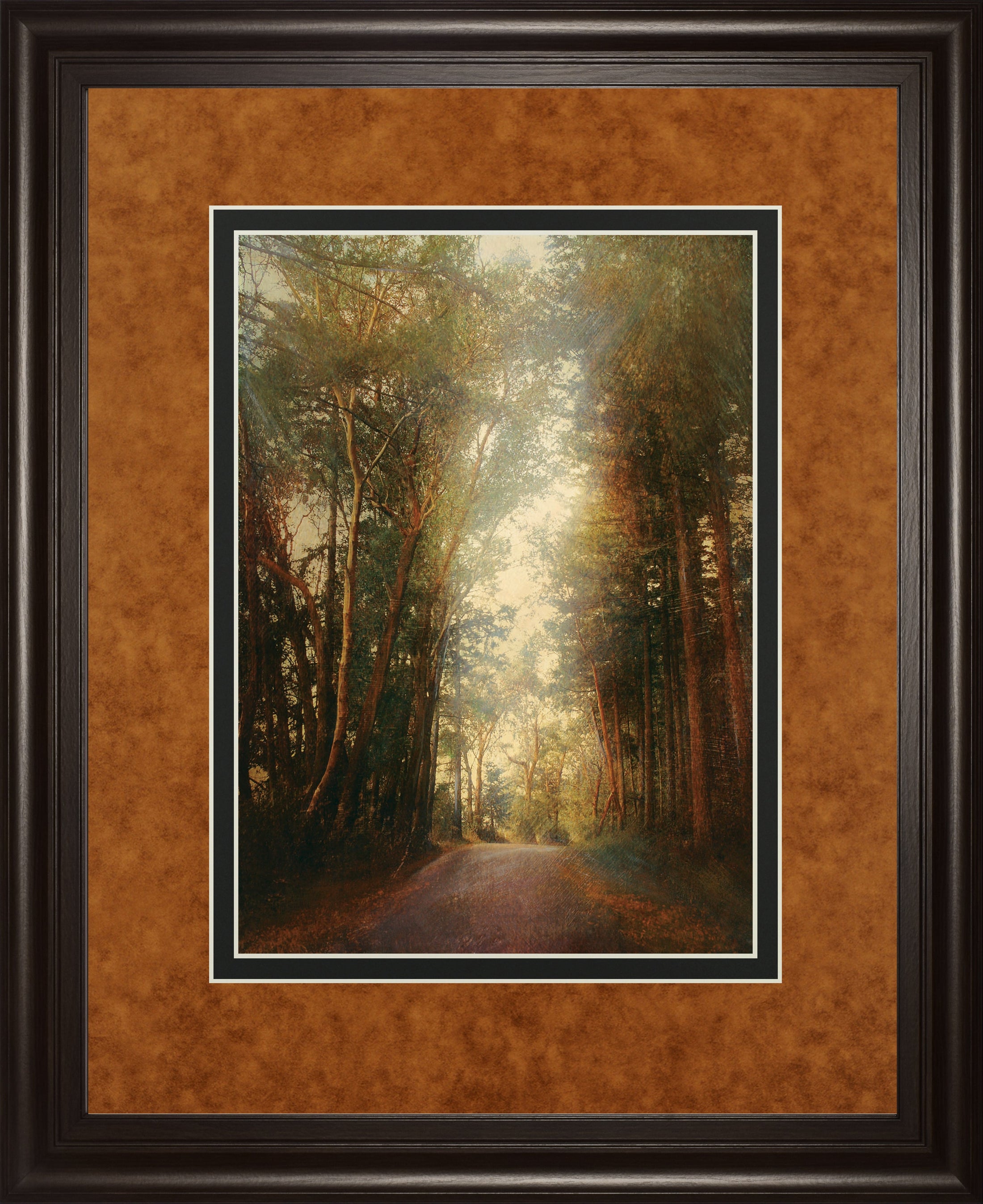 Road Of Mysteries II By Amy Melious ***Monl***