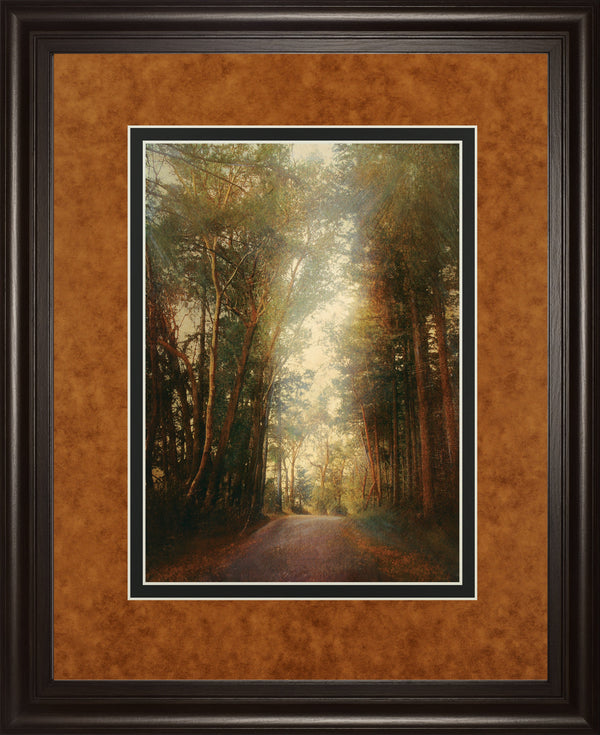 Road Of Mysteries II By Amy Melious ***Monl***