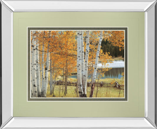 Mirrored Frame Birch Beauty By Mike Jones