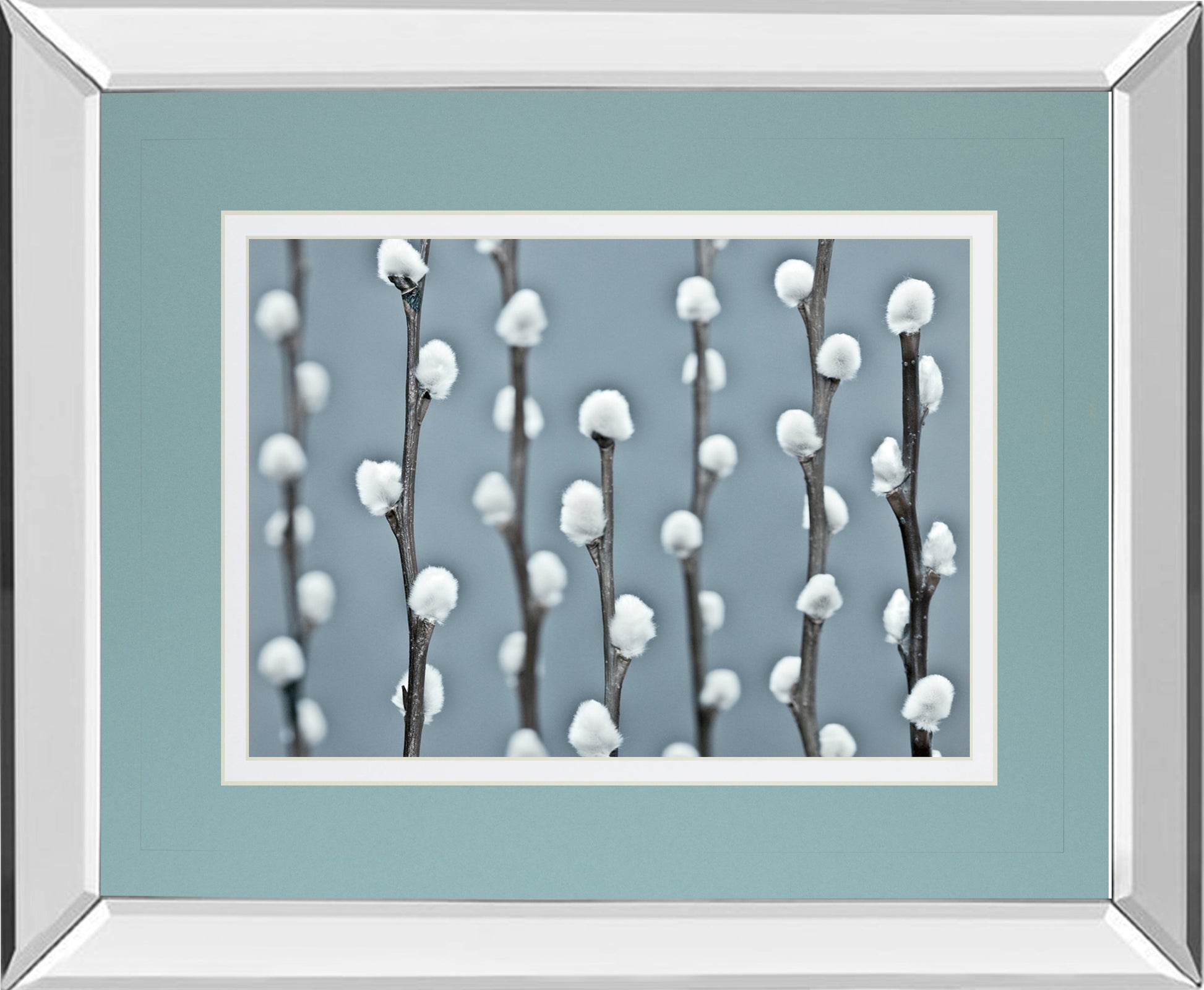 Mirrored Frame Protected By Frank Assaf