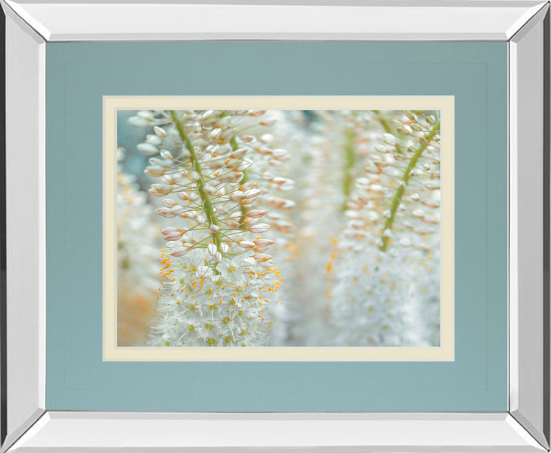 Mirrored Frame Humbled By Frank Assaf
