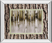Mirrored Frame Fern Creek By Susan Jill