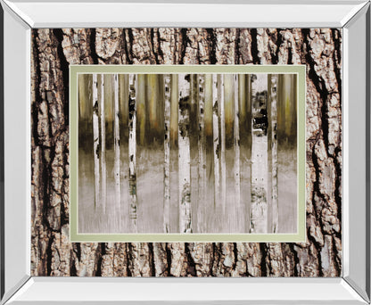 Mirrored Frame Fern Creek By Susan Jill