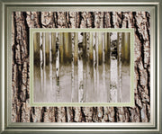 Fern Creek By Susan Jill