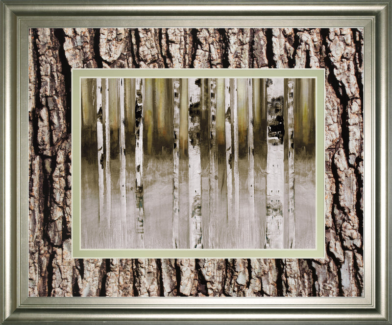 Fern Creek By Susan Jill