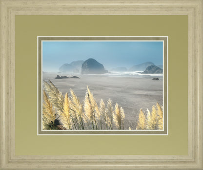 Pompas Beach By Frates