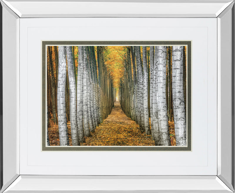 Mirrored Frame Tree Farm By Cahill