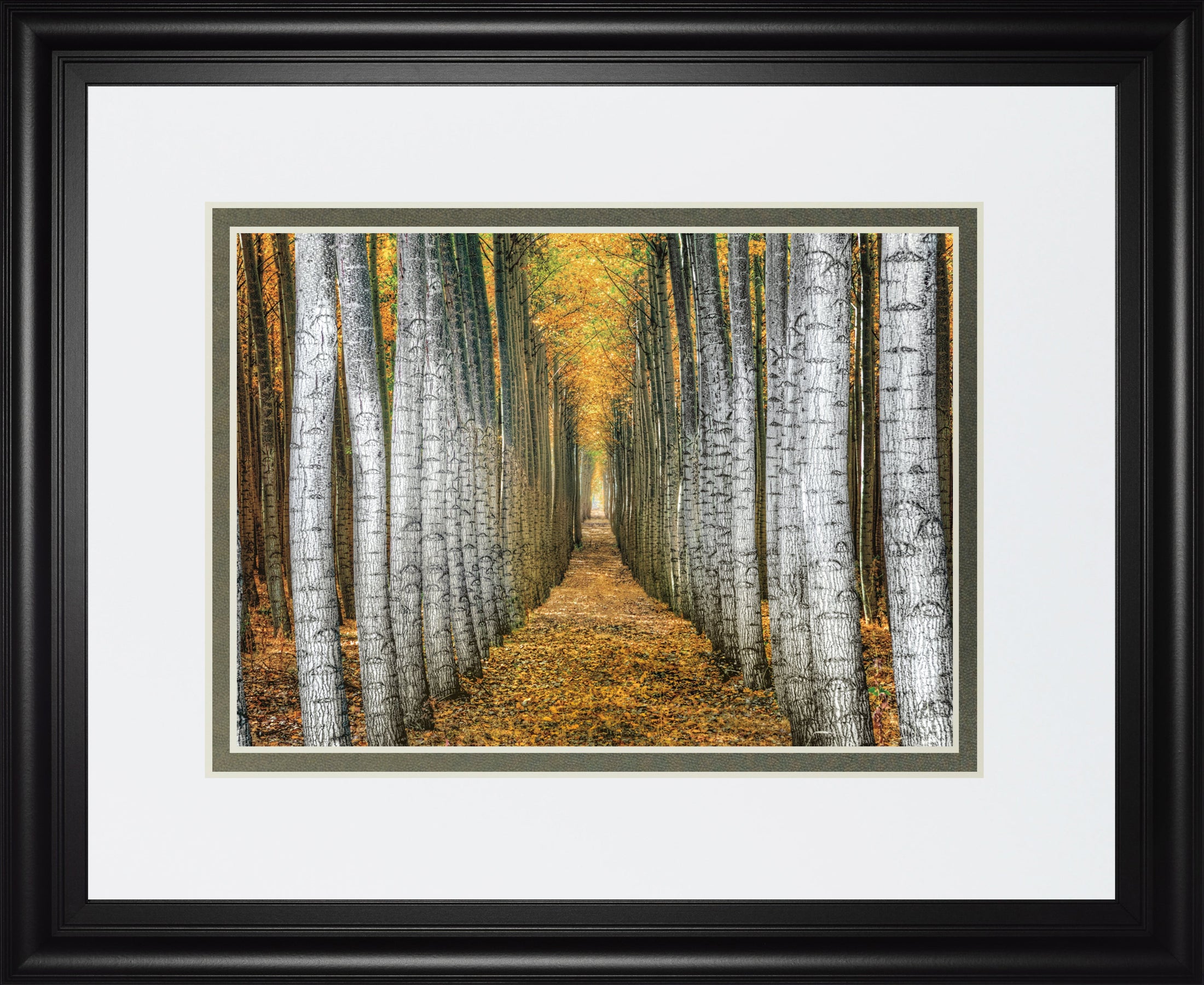 Tree Farm By Cahill