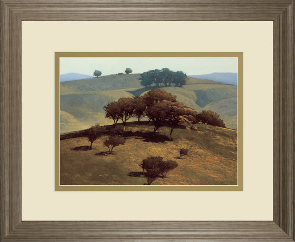 Hills Near Chico By N. Bohne