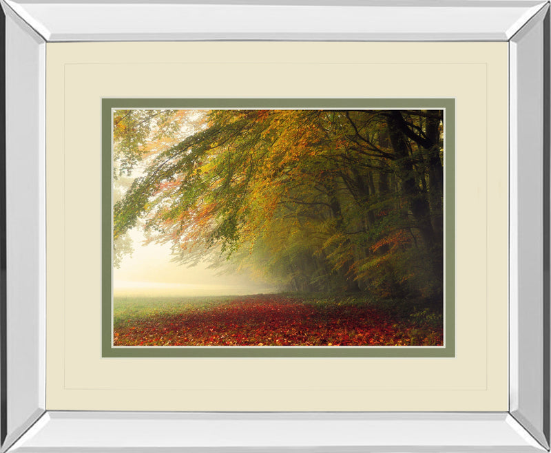 Mirrored Frame Your Beauty Silences Me By Irene Weisz