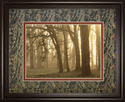 Woodland Sweep By Dennis Frate