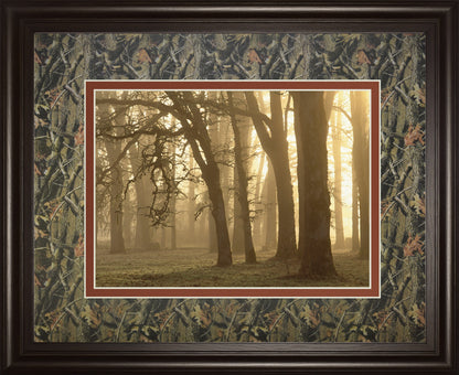 Woodland Sweep By Dennis Frate