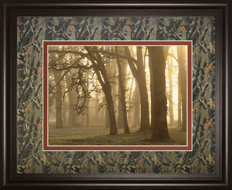 Woodland Sweep By Dennis Frate